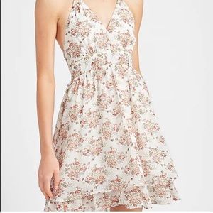 EXPRESS Floral Dress